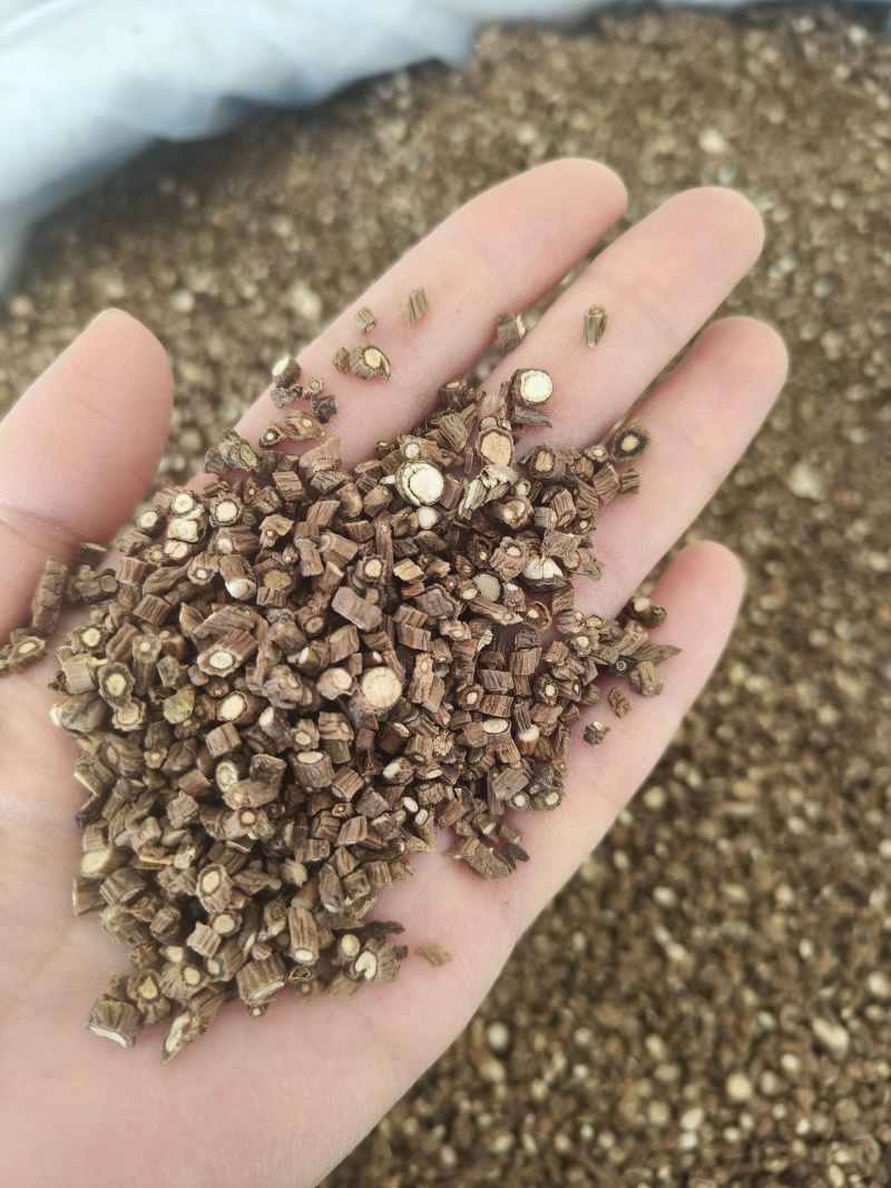 柴胡藏柴胡片祥泰药材栈中药材批发零售实物拍摄量多从