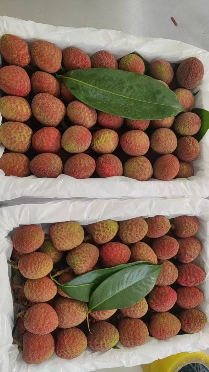 荔枝代办，电商，一件，社区，全国发货，商超团购