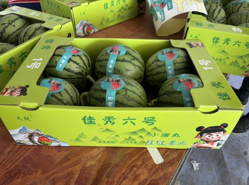 精品家秀六号口口脆
