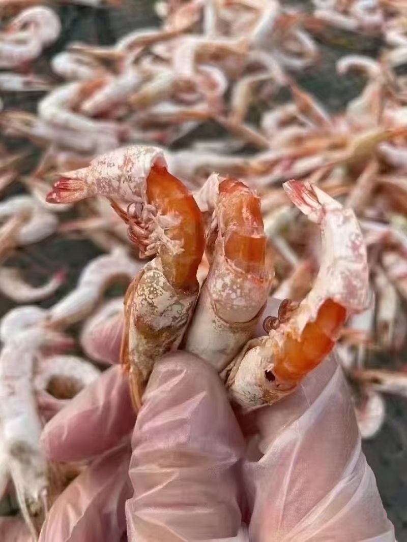 虾米