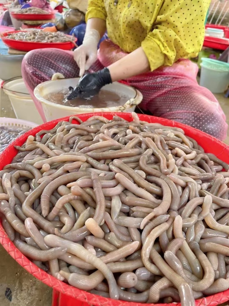 沙虫干