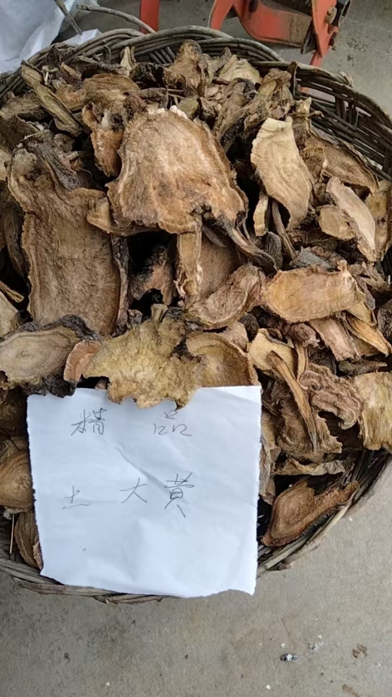 山东土大黄，货量足，年份高，品质保证，规格齐全，欢迎咨询