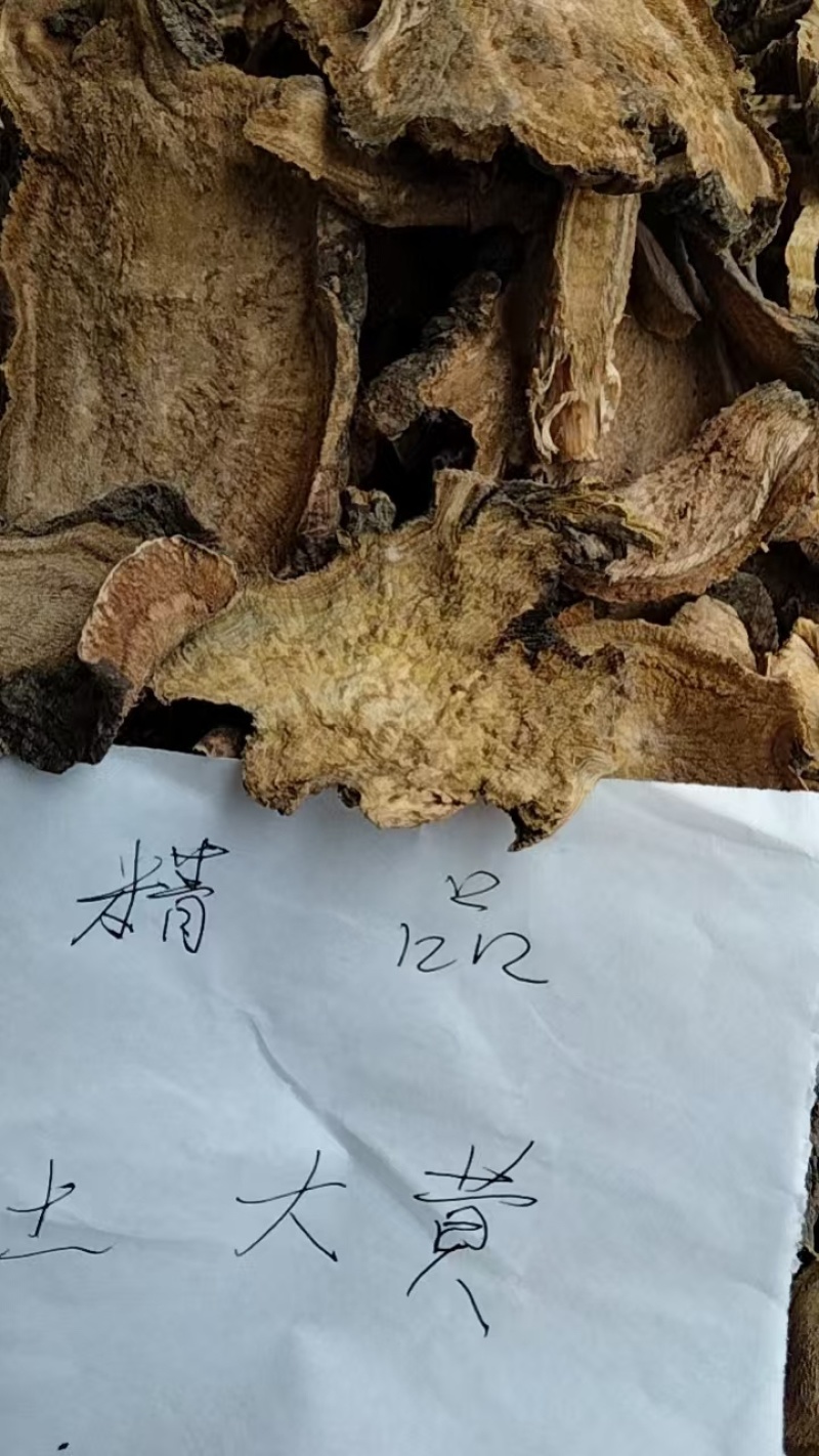 山东土大黄，货量足，年份高，品质保证，规格齐全，欢迎咨询