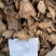 山东土大黄，货量足，年份高，品质保证，规格齐全，欢迎咨询