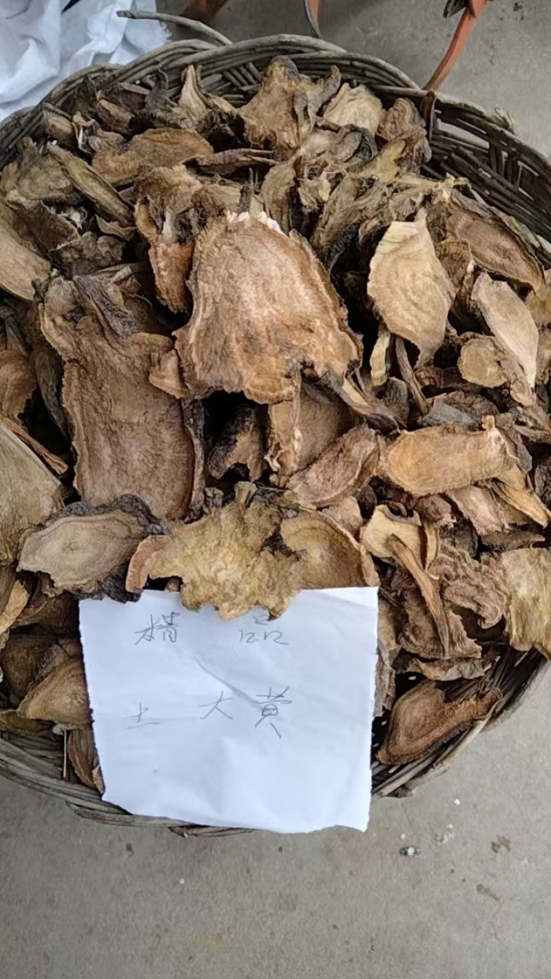 山东土大黄，货量足，年份高，品质保证，规格齐全，欢迎咨询