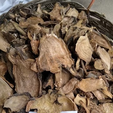 山东土大黄，货量足，年份高，品质保证，规格齐全，欢迎咨询
