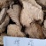 商陆，货量充足，品质保证，对接全国，欢迎咨询