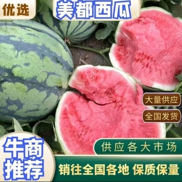 湖南澧县大棚美都西瓜大量上市了价格优惠品质保证货源充足
