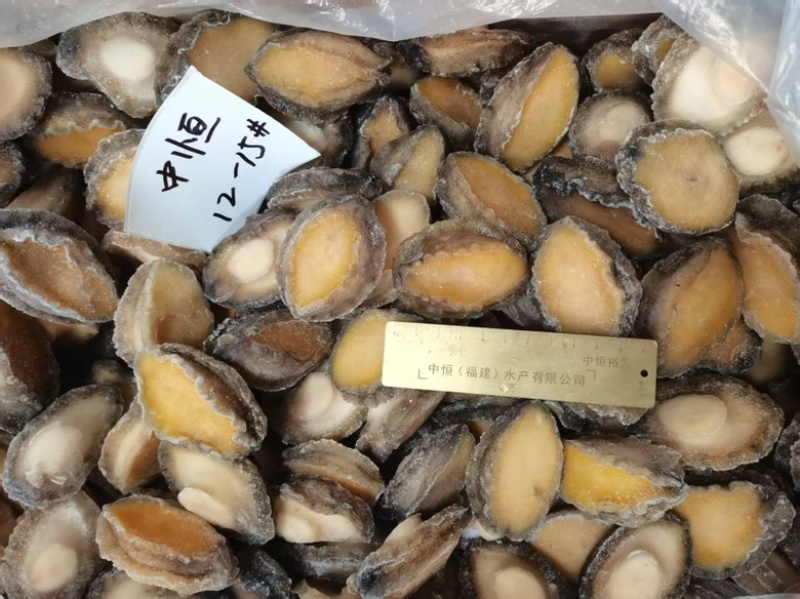 鲍鱼肉12-15头活鲍鱼加工速冻商用海鲜水产冻品批发