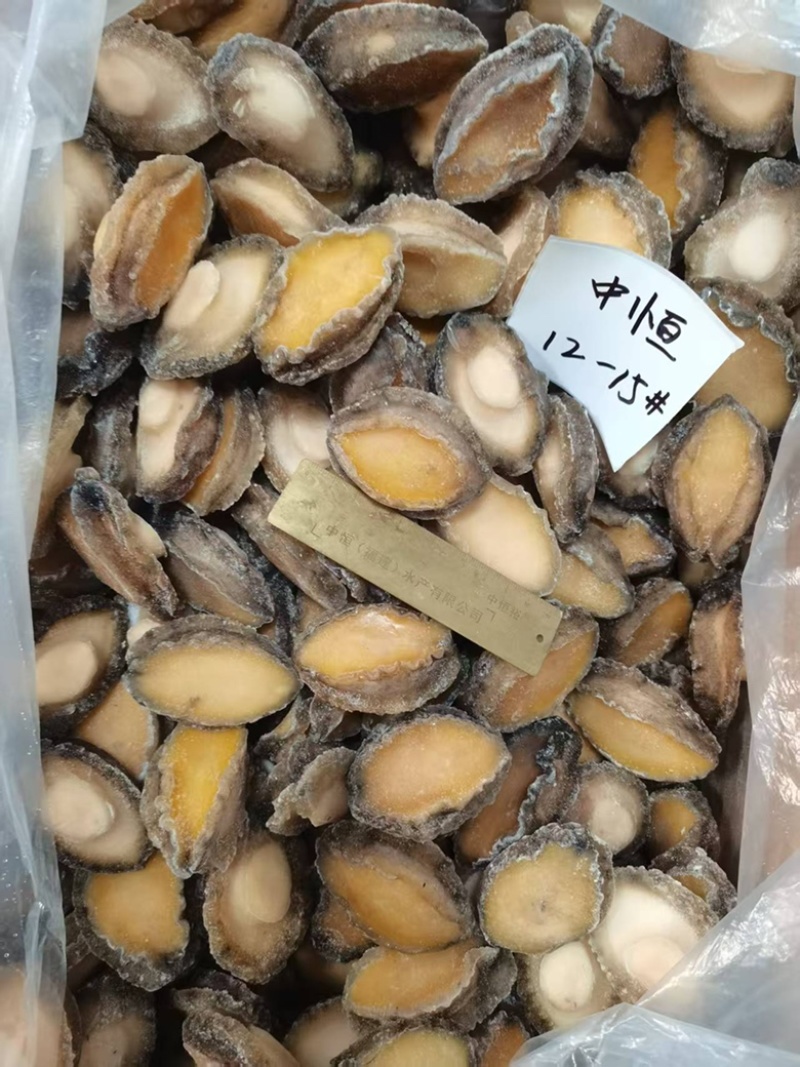 鲍鱼肉12-15头活鲍鱼加工速冻商用海鲜水产冻品批发