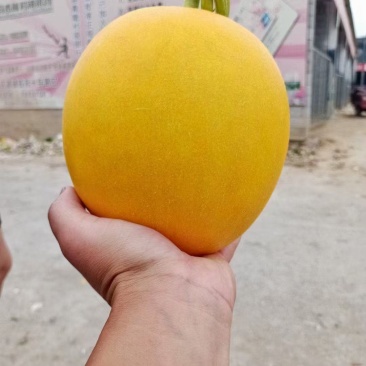久红瑞