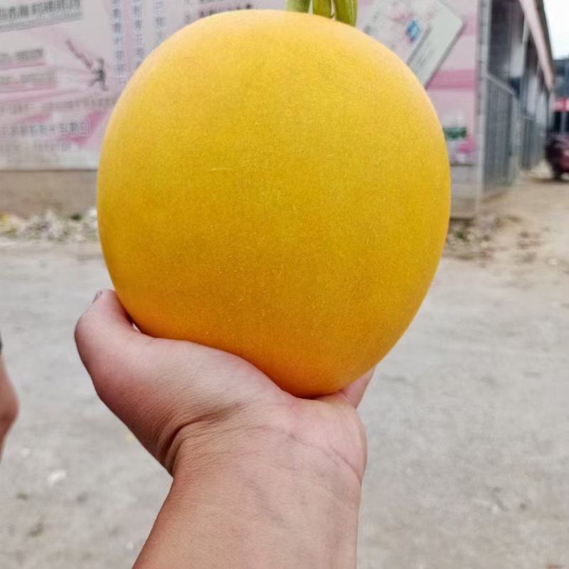 久红瑞