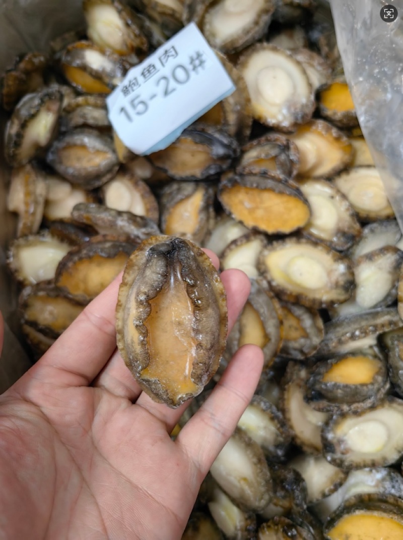鲍鱼肉新鲜鲍鱼15-20头供应餐饮酒店电商海鲜冻品