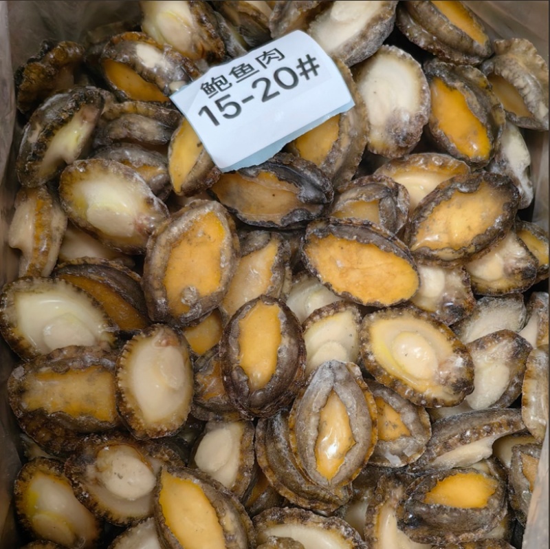 鲍鱼肉新鲜鲍鱼15-20头供应餐饮酒店电商海鲜冻品