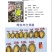 鲍鱼肉20-25头佛跳墙炖盅海鲜食材冻品厂家批发