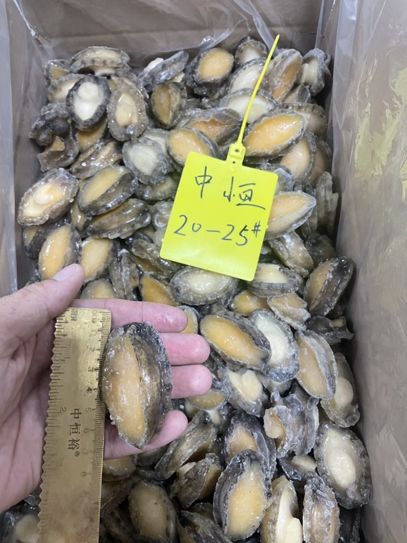 鲍鱼肉20-25头佛跳墙炖盅海鲜食材冻品厂家批发