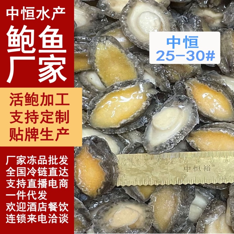 鲍鱼肉25-30头新鲜鲍鱼肉海鲜水产超市酒店商用
