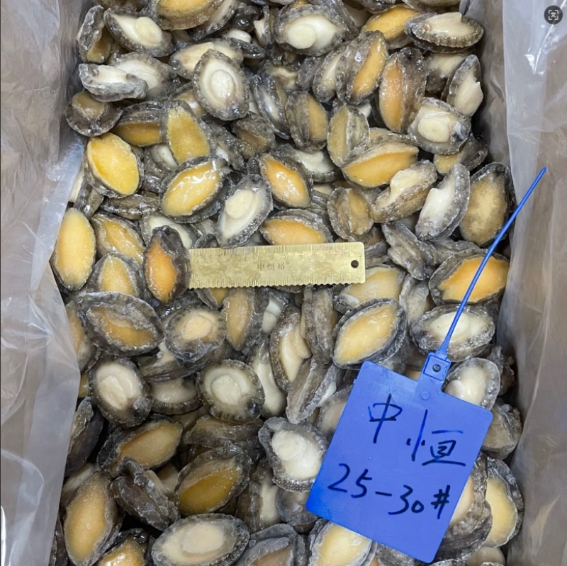 鲍鱼肉25-30头新鲜鲍鱼肉海鲜水产超市酒店商用