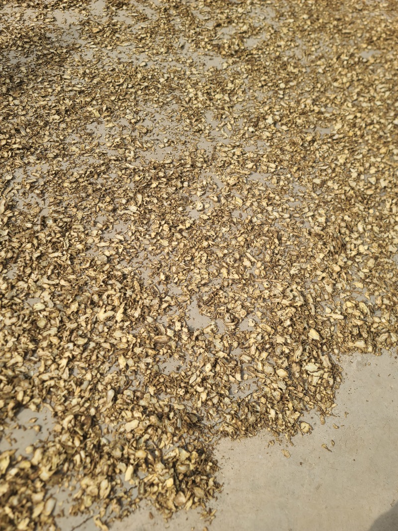 肉独活切片产地直供