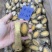鲍鱼肉25-30头新鲜鲍鱼肉海鲜水产超市酒店商用