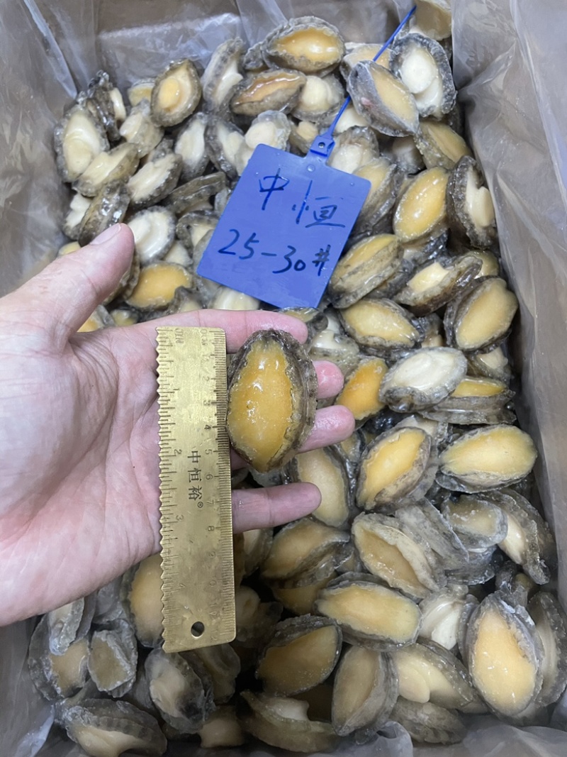 鲍鱼肉25-30头新鲜鲍鱼肉海鲜水产超市酒店商用