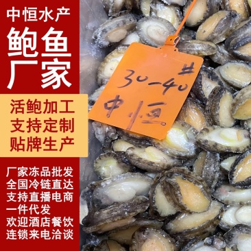 鲍鱼肉30-40头【鲍鱼工厂】新鲜鲍鱼加工源头厂家批发