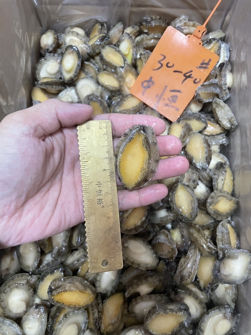 鲍鱼肉30-40头【鲍鱼工厂】新鲜鲍鱼加工源头厂家批发