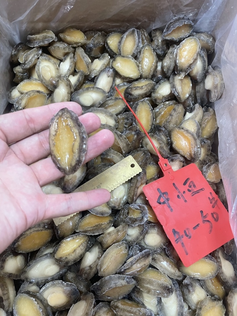 鲍鱼肉40-50头新鲜速冻商用海鲜水产品货源厂家一手批发
