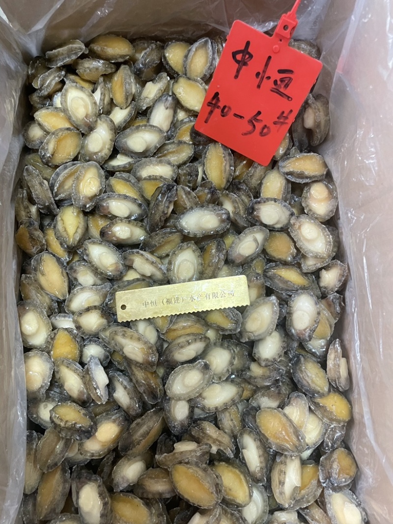 鲍鱼肉40-50头新鲜速冻商用海鲜水产品货源厂家一手批发