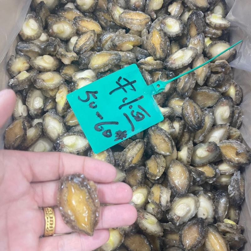 冷冻鲍鱼肉50-60头纯肉海鲜水产冻品商用大小鲍鱼批发