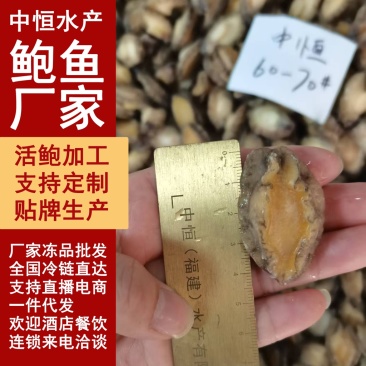 鲍鱼肉60-70头新鲜大小鲍鱼肉商用冻品海鲜水产商用批发
