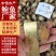 鲍鱼肉60-70头新鲜大小鲍鱼肉商用冻品海鲜水产商用批发
