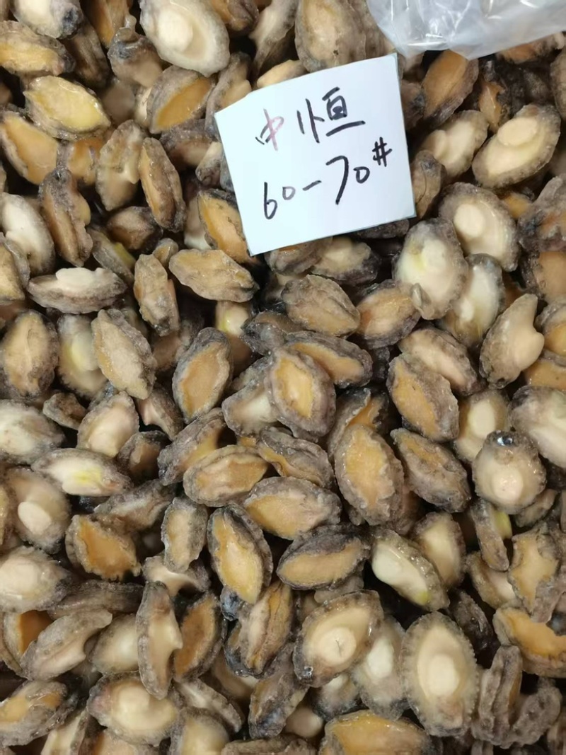 鲍鱼肉60-70头新鲜大小鲍鱼肉商用冻品海鲜水产商用批发