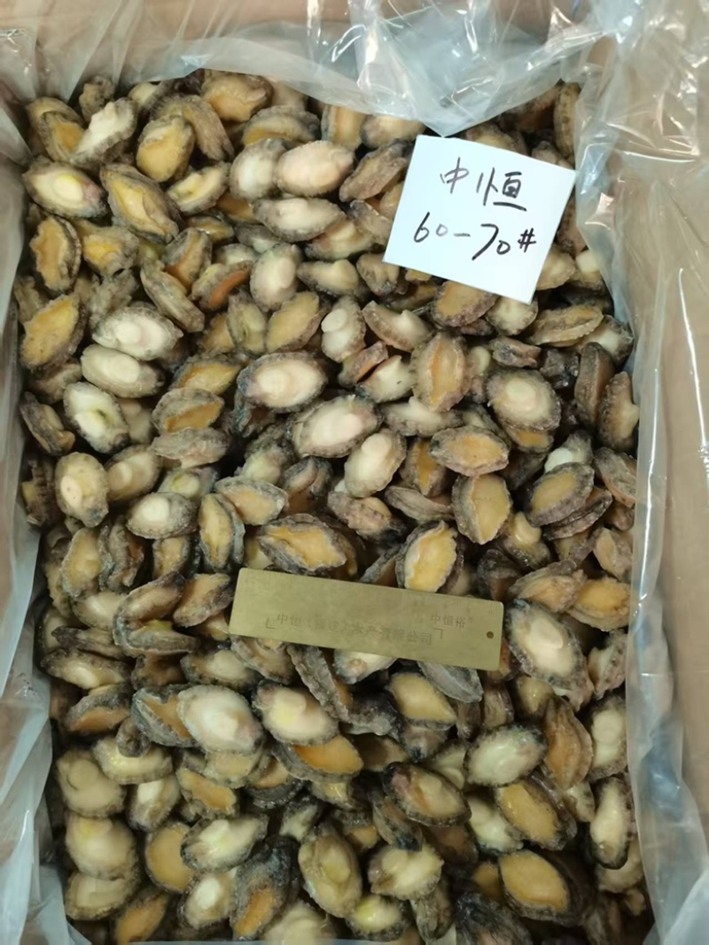 鲍鱼肉60-70头新鲜大小鲍鱼肉商用冻品海鲜水产商用批发