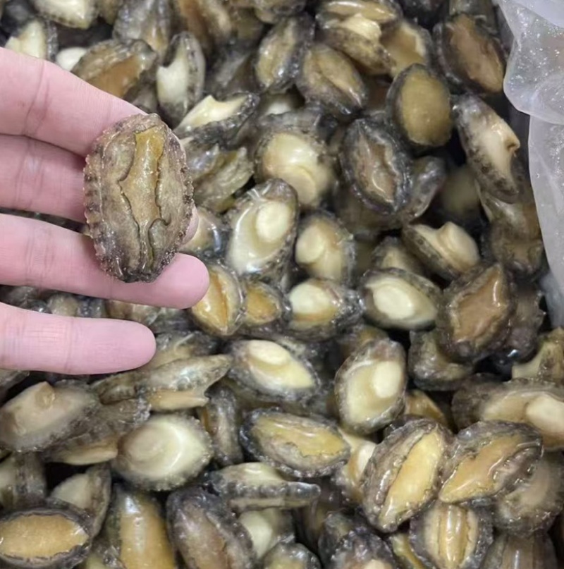 鲍鱼肉新鲜80-100头速冻小鲍鱼纯肉鲍鱼源头厂家批发