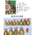 鲍鱼肉新鲜80-100头速冻小鲍鱼纯肉鲍鱼源头厂家批发