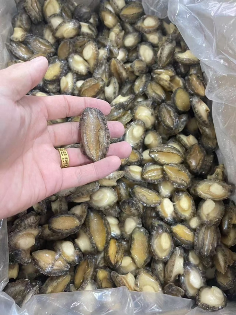 鲍鱼肉新鲜80-100头速冻小鲍鱼纯肉鲍鱼源头厂家批发