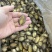 鲍鱼肉新鲜80-100头速冻小鲍鱼纯肉鲍鱼源头厂家批发