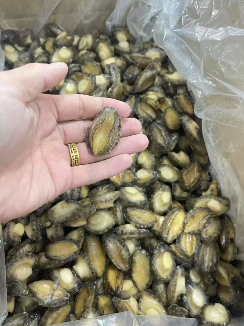 鲍鱼肉新鲜80-100头速冻小鲍鱼纯肉鲍鱼源头厂家批发