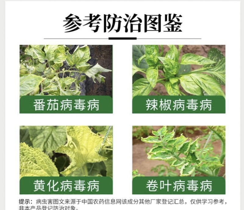 超艳吗呱乙酸铜番茄病毒病小叶病花叶病