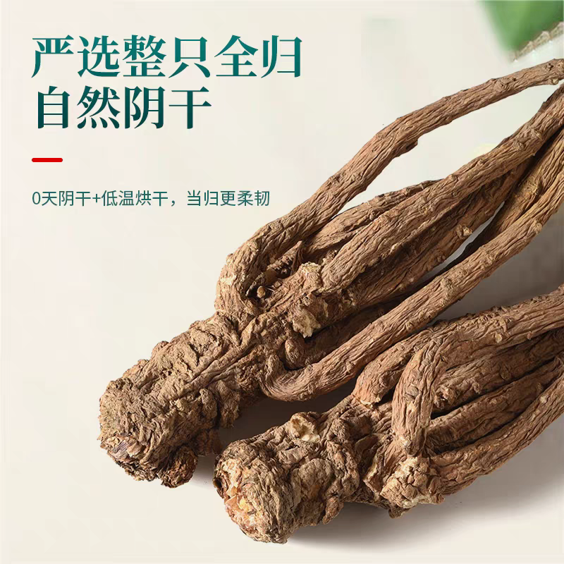 甘肃定西岷县当归大条发货原色原味无硫熏当季新货煲汤