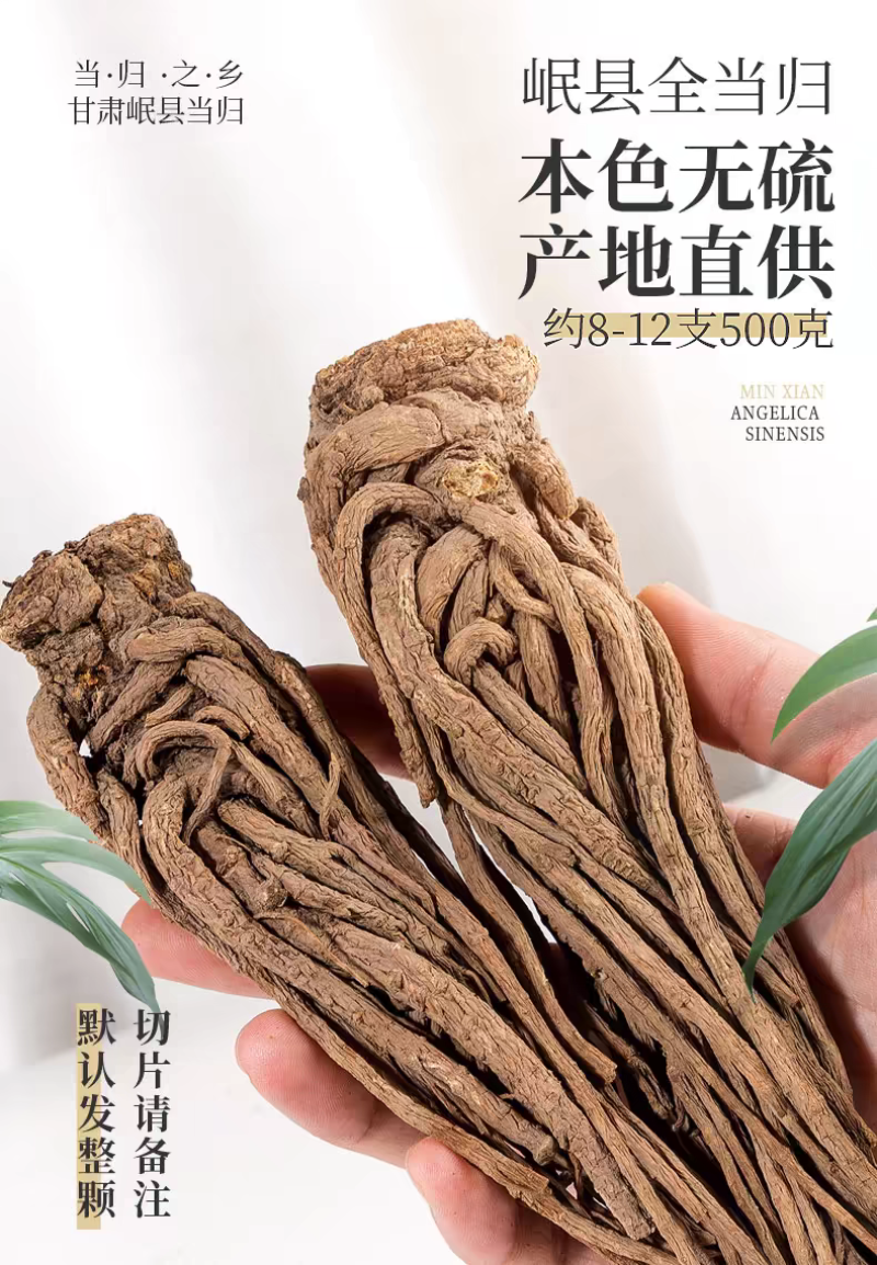 甘肃定西岷县当归大条发货原色原味无硫熏当季新货煲汤