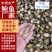 鲍鱼肉小鲍鱼150-200头纯肉餐饮电商海产冻品批发