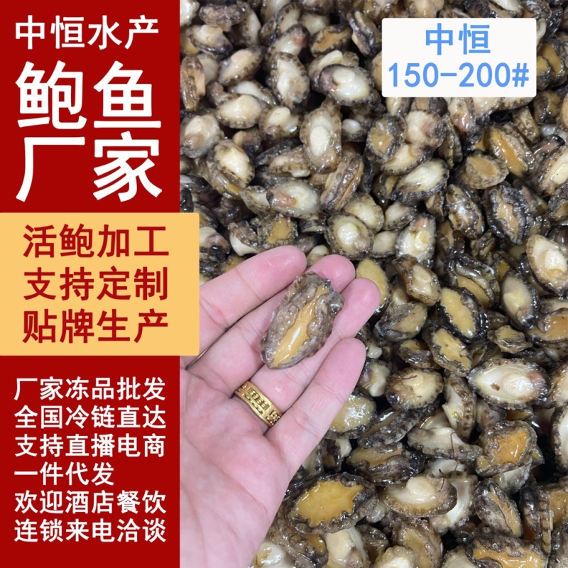 鲍鱼肉小鲍鱼150-200头纯肉餐饮电商海产冻品批发