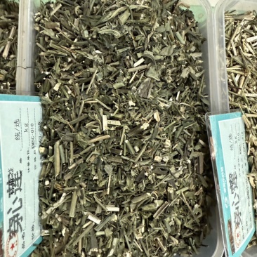 穿心莲全颗现货