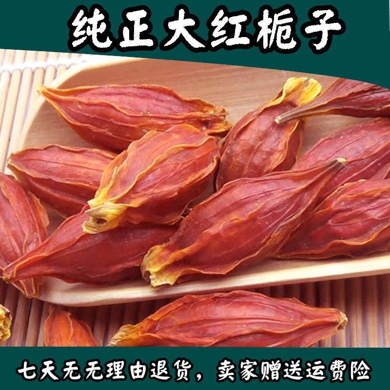 包邮）新货农家大红栀子果黄栀子山栀子栀子卤肉500g