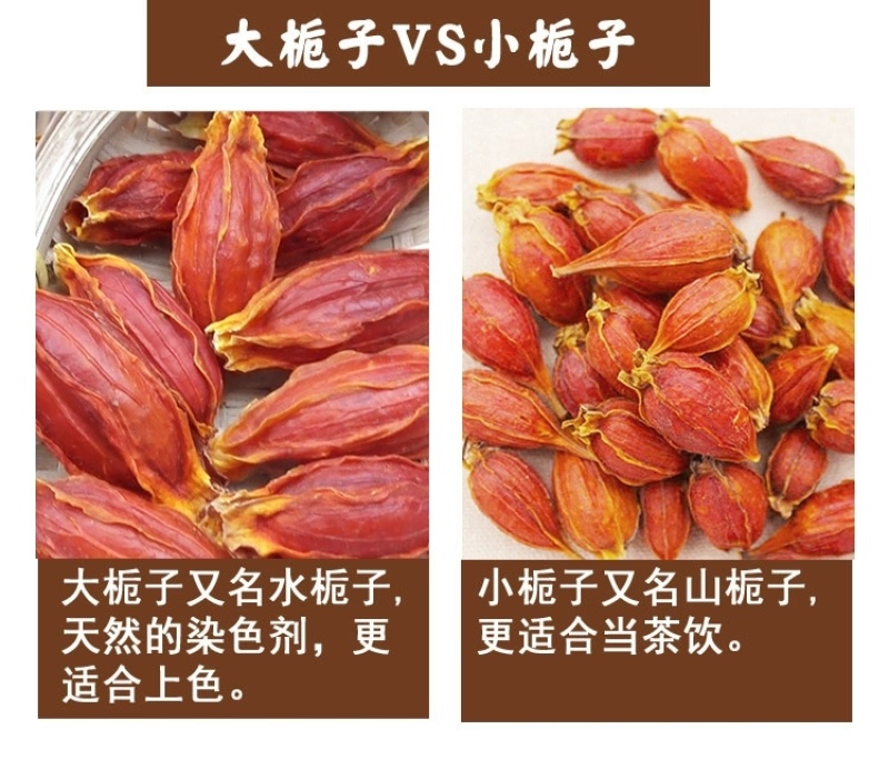 包邮）新货农家大红栀子果黄栀子山栀子栀子卤肉500g