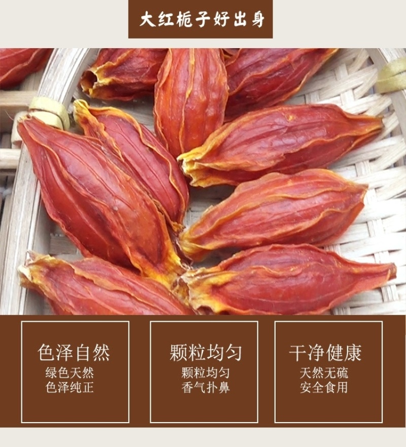 包邮）新货农家大红栀子果黄栀子山栀子栀子卤肉500g