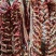 吊龙，牛腹肉，牛里脊，每天现宰，（鲜肉）空全国