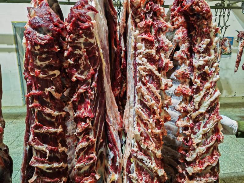 吊龙，牛腹肉，牛里脊，每天现宰，（鲜肉）空全国